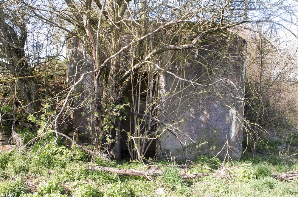 Ligne Maginot - MB14 - (Blockhaus pour canon) - L'entrée barrée par un buisson épineux...  - Christian RICHON/devoitine520