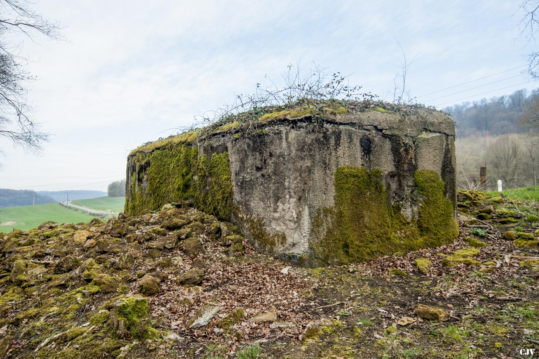 Ligne Maginot - MB20 - (Blockhaus pour arme infanterie) - Les creneaux ont été murés - Lia VERMEULEN