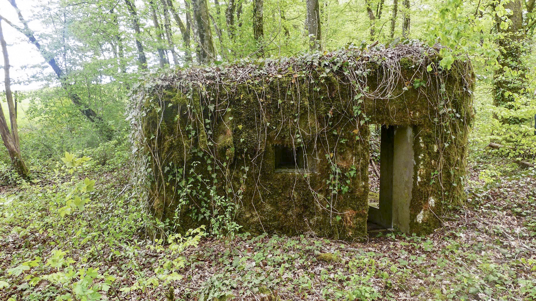 Ligne Maginot - MBO3 - (Blockhaus pour canon) -  - David HARMAND