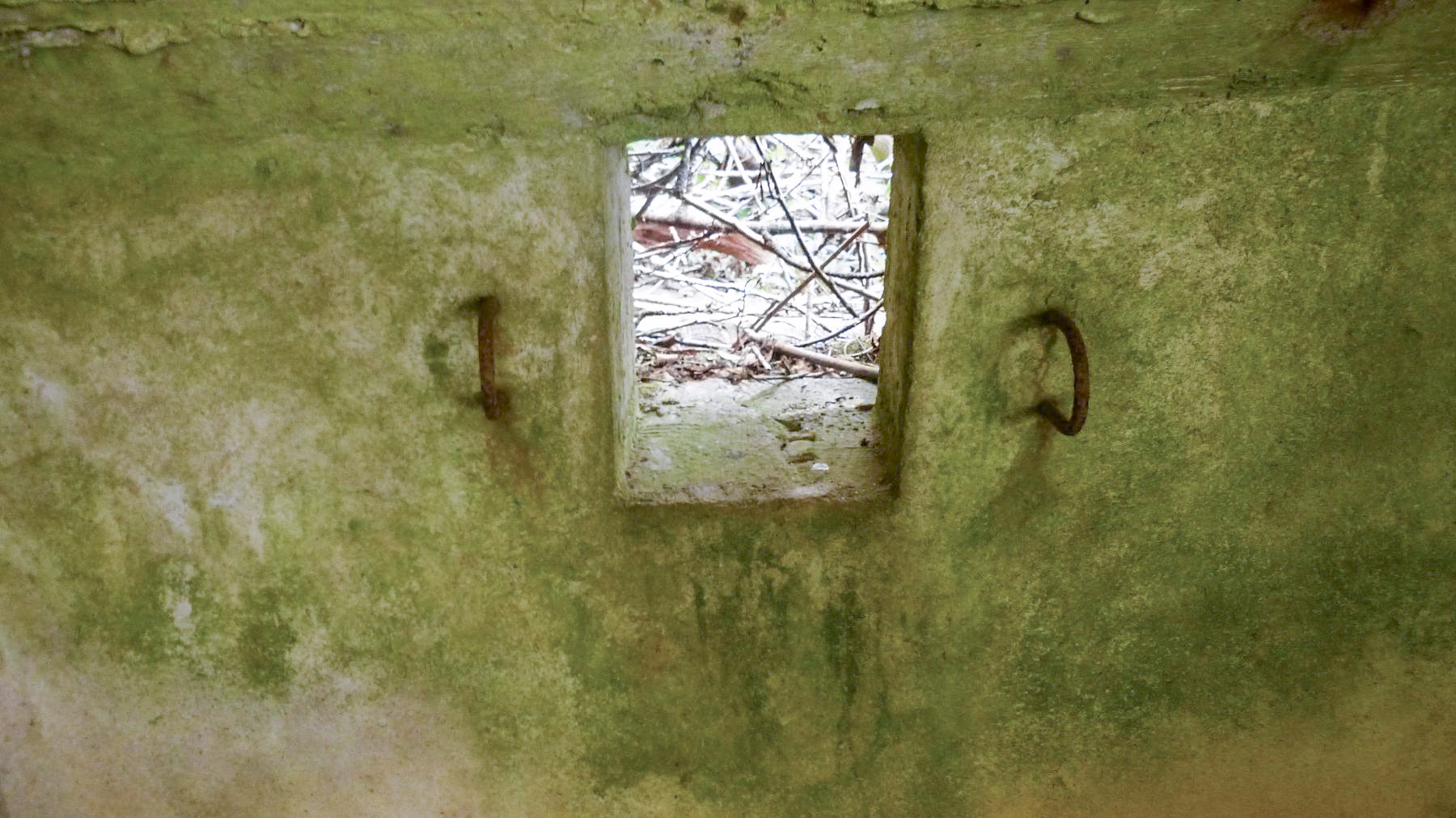 Ligne Maginot - MBO3 - (Blockhaus pour canon) -  - David HARMAND