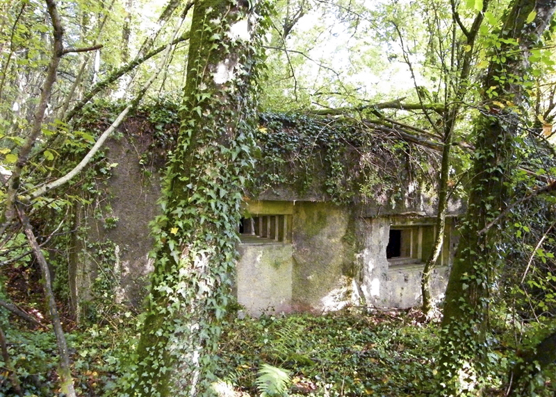 Ligne Maginot - MB27 - (Blockhaus pour canon) -  - Jean-Louis AUBLET & Sylvie MAINGUIN