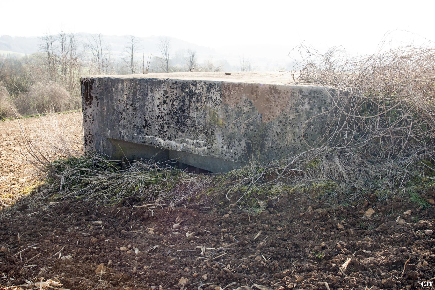 Ligne Maginot - MB30 - (Blockhaus pour arme infanterie) - Flanc Ouest - Lia VERMEULEN