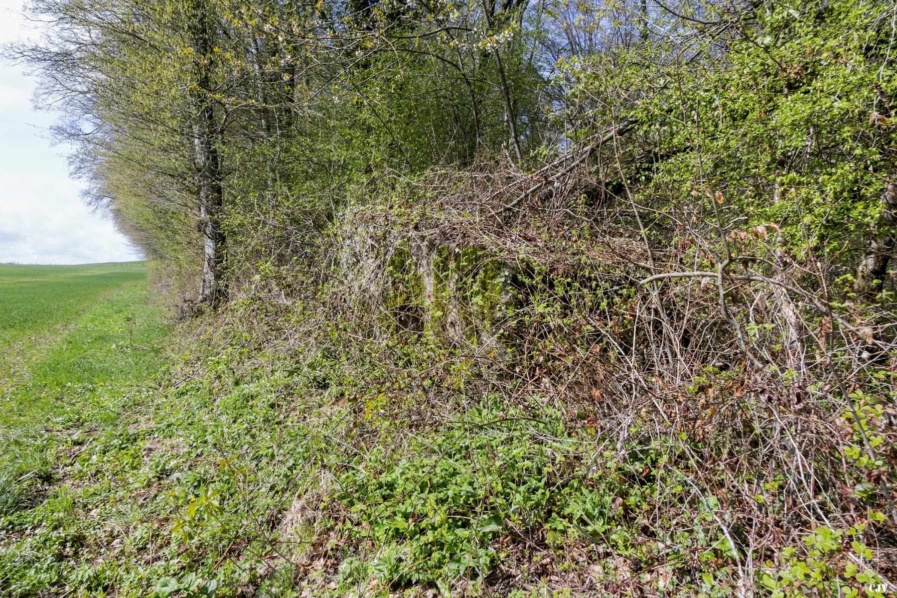 Ligne Maginot - MBA1 - (Blockhaus pour arme infanterie) - Couvert de végétation  - Lia VERMEULEN