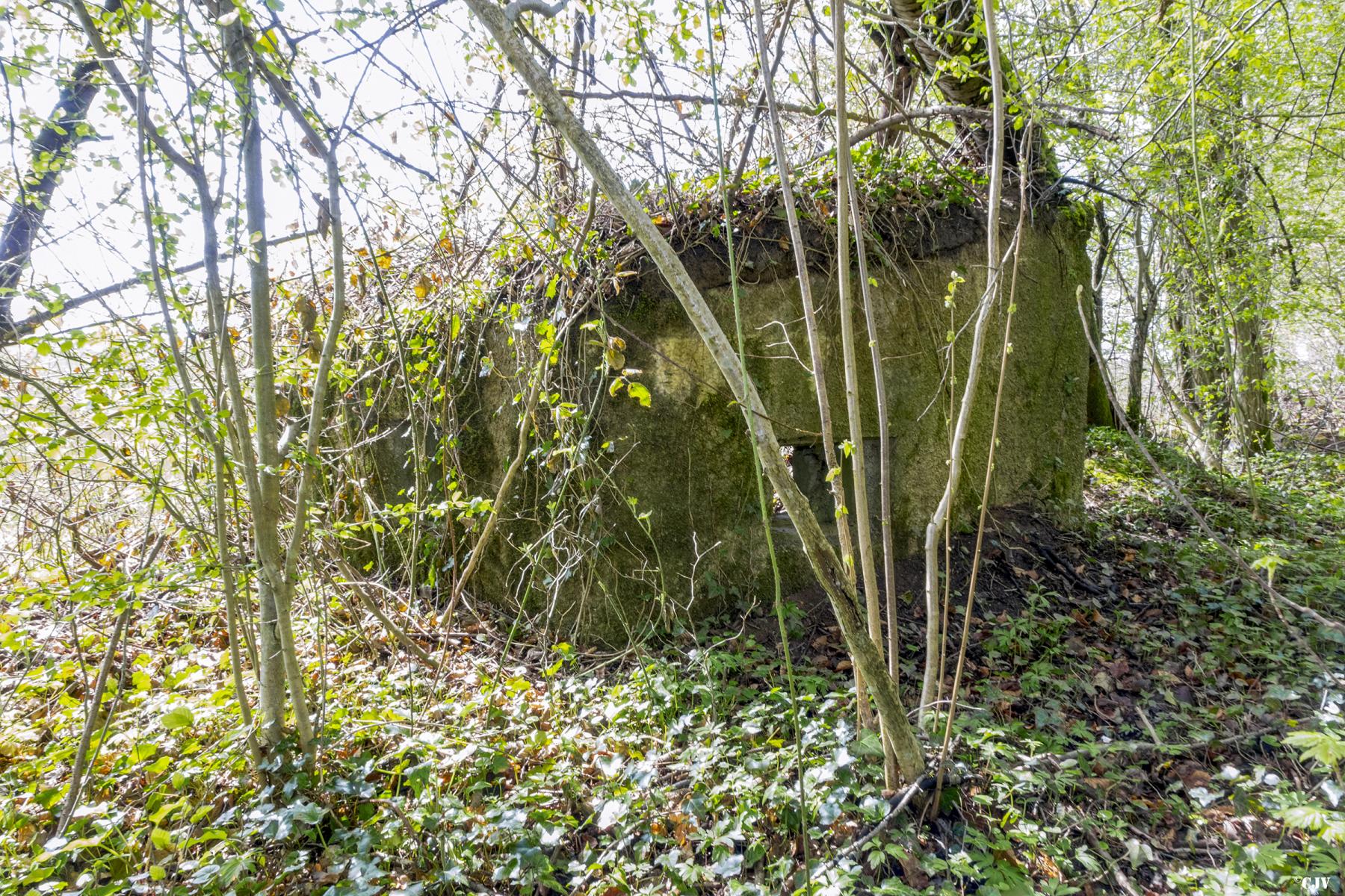 Ligne Maginot - MBA1 - (Blockhaus pour arme infanterie) -  - Lia VERMEULEN