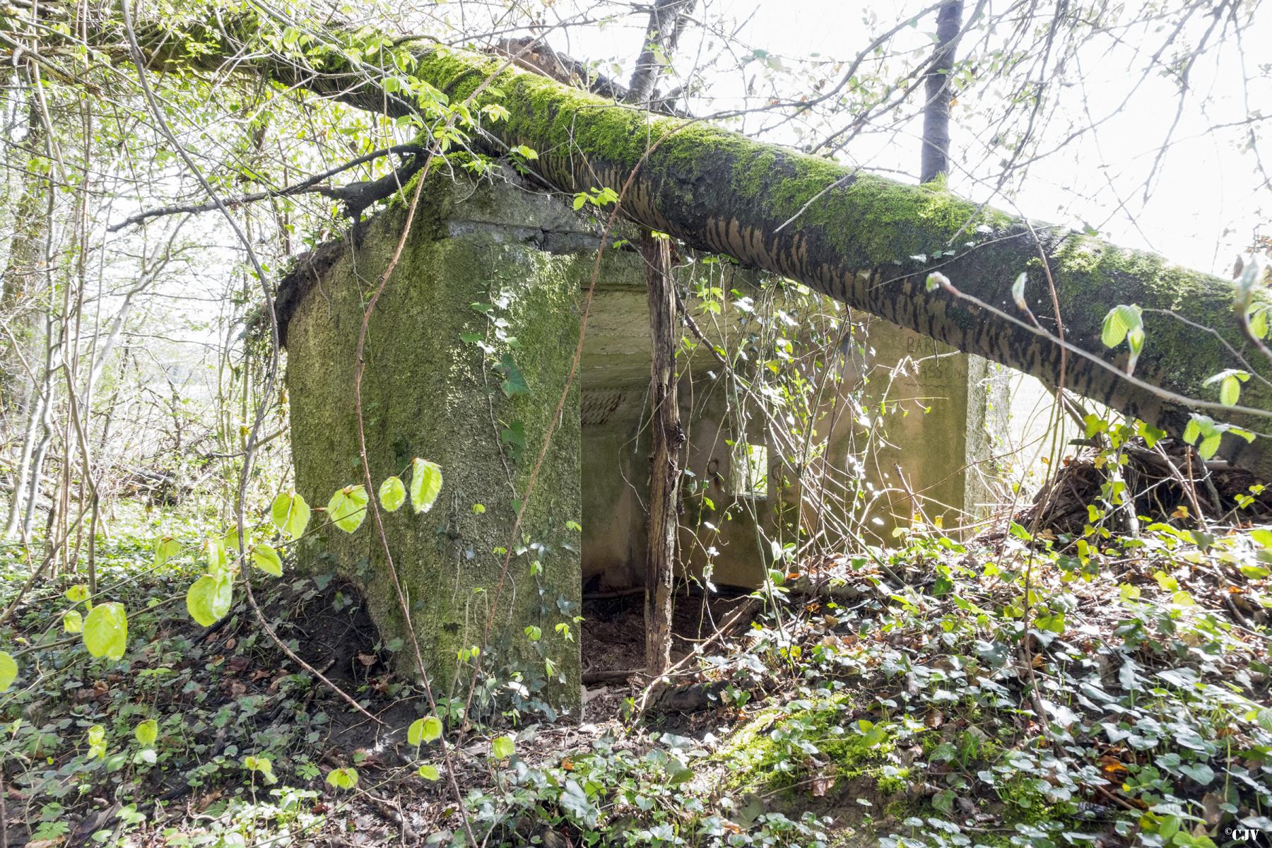 Ligne Maginot - MBA1 - (Blockhaus pour arme infanterie) - Face arrière    - Lia VERMEULEN