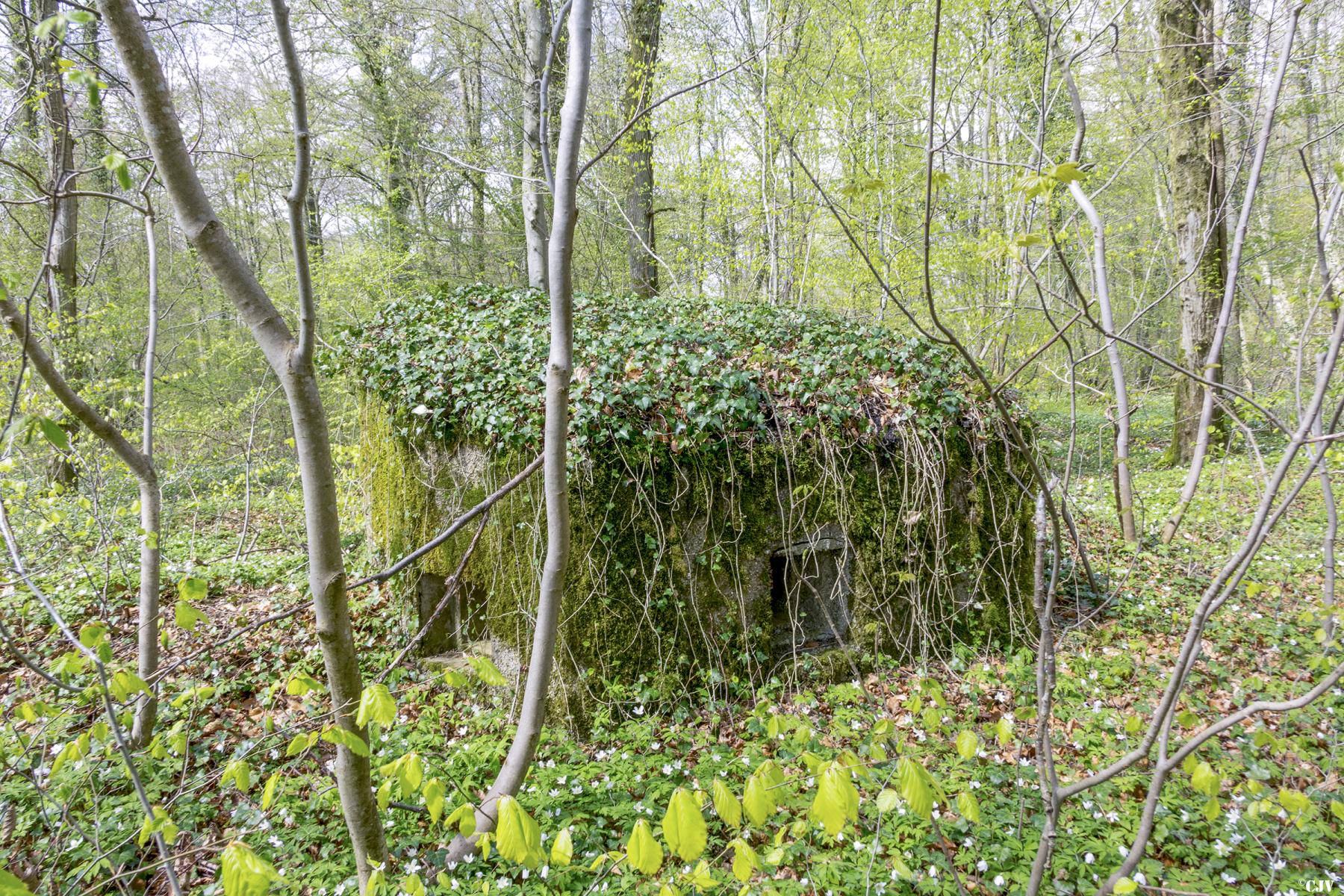 Ligne Maginot - MBA2 - (Blockhaus pour arme infanterie) - La face avant - Lia VERMEULEN