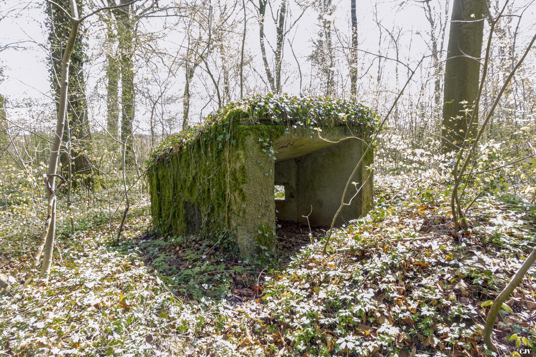 Ligne Maginot - MBA2 - (Blockhaus pour arme infanterie) - L'arrière        - Lia VERMEULEN