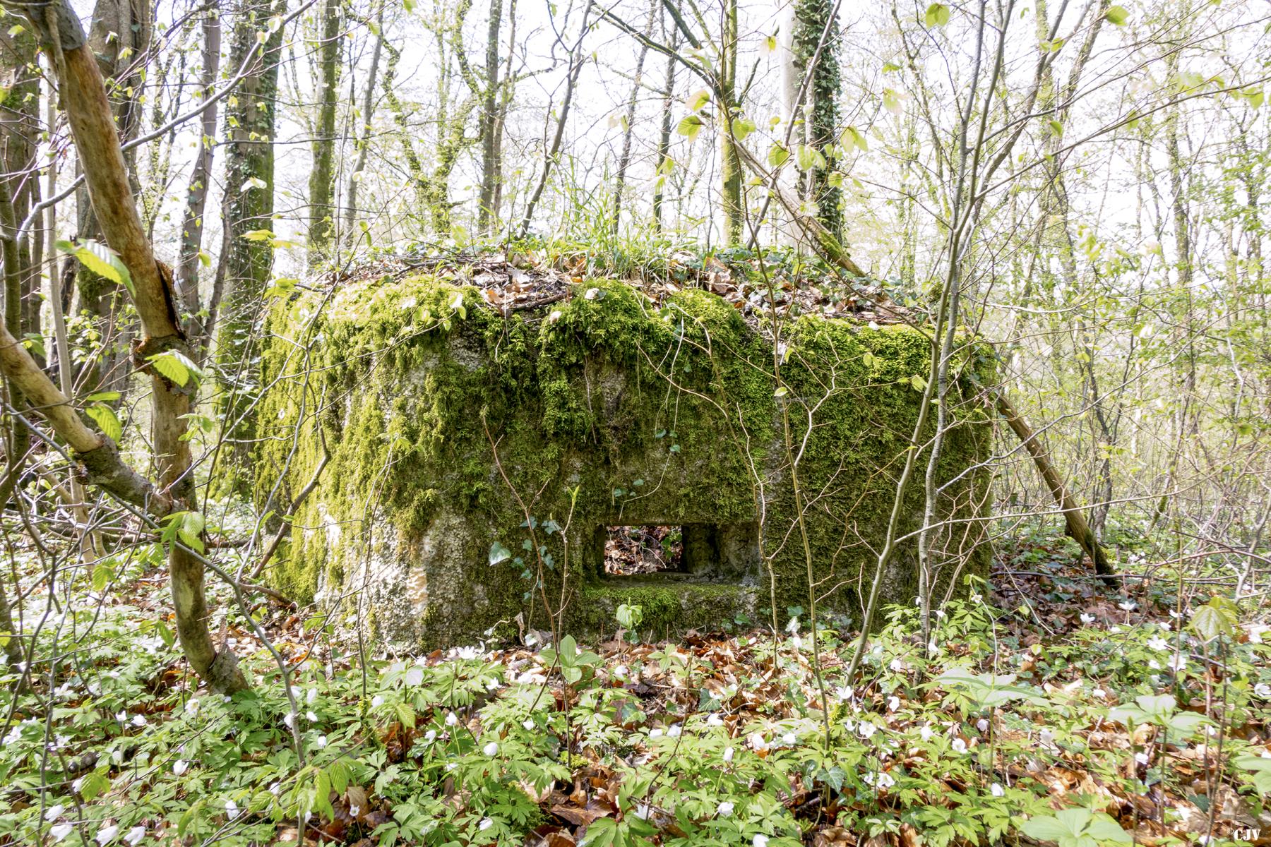 Ligne Maginot - MBA3 - (Blockhaus pour arme infanterie) - La face avant - Lia VERMEULEN