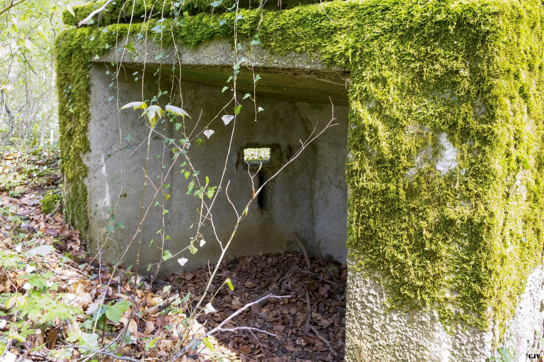 Ligne Maginot - MBA3 - (Blockhaus pour arme infanterie) - La face arrière        - Lia VERMEULEN