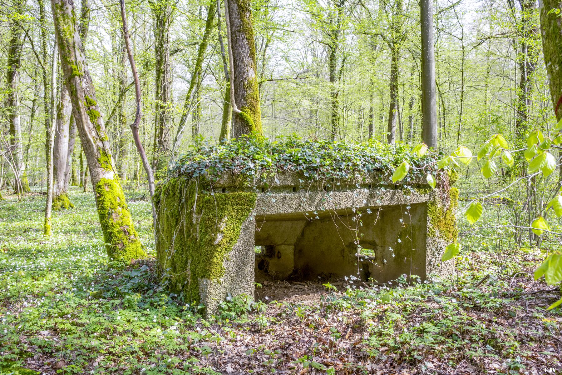 Ligne Maginot - MBA4 - (Blockhaus pour arme infanterie) -  La face arrière               - Lia VERMEULEN