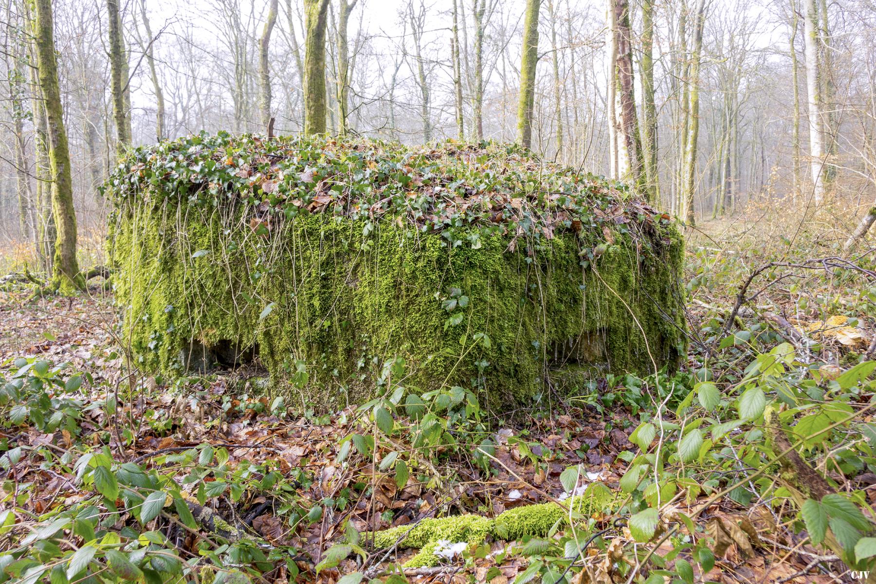 Ligne Maginot - MBA5 - (Blockhaus pour arme infanterie) -  - Lia VERMEULEN