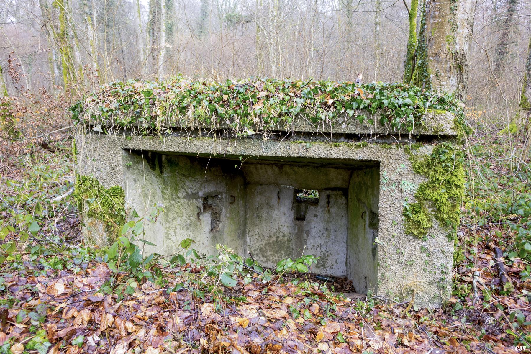 Ligne Maginot - MBA5 - (Blockhaus pour arme infanterie) - La face arrière - Lia VERMEULEN