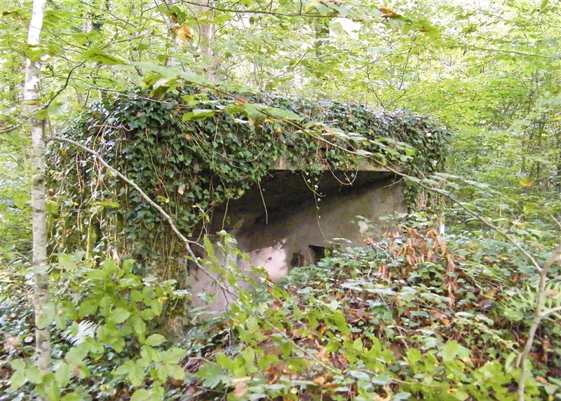 Ligne Maginot - MBA6 - (Blockhaus pour arme infanterie) - La face arrière - Jean-Louis AUBLET & Sylvie MAINGUIN