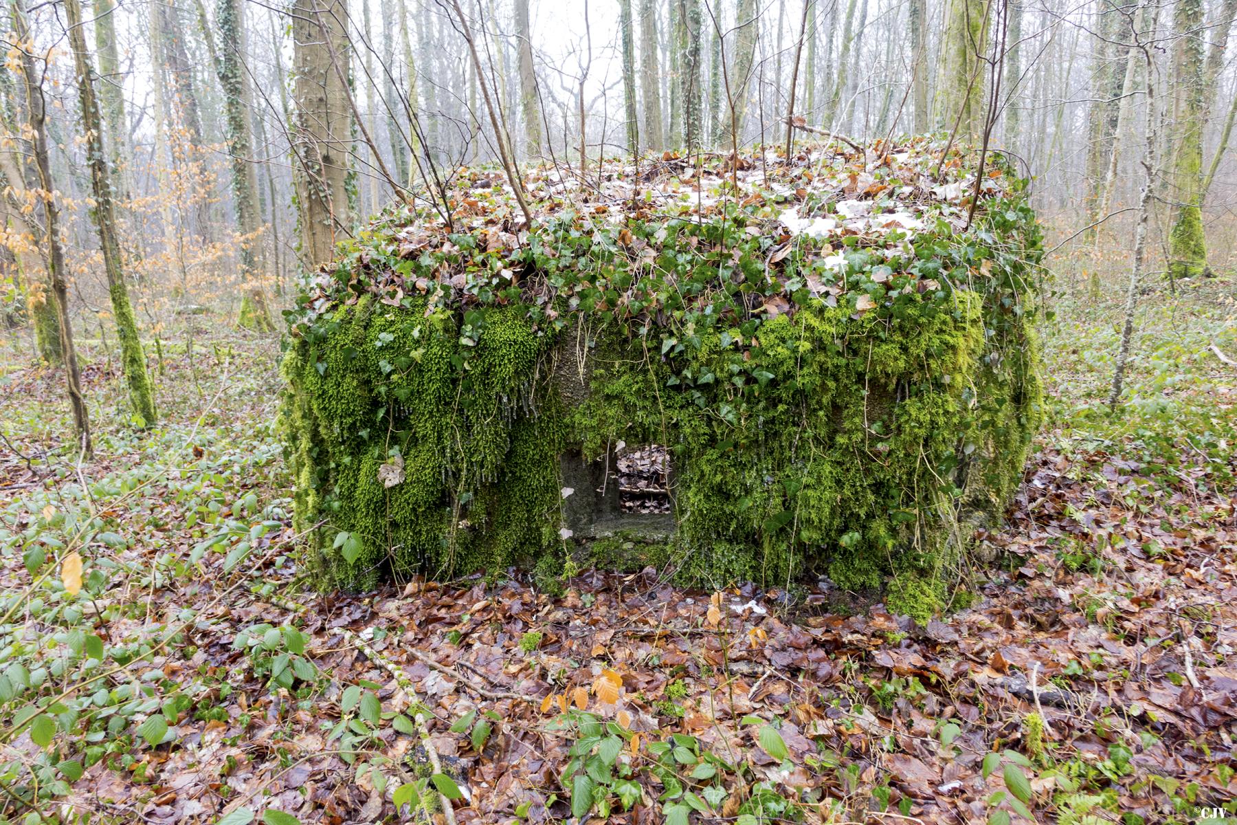 Ligne Maginot - MBA6 - (Blockhaus pour arme infanterie) - La face avant - Lia VERMEULEN