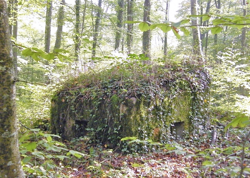 Ligne Maginot - MBA7 - (Blockhaus pour arme infanterie) -  - Jean-Louis AUBLET & Sylvie MAINGUIN