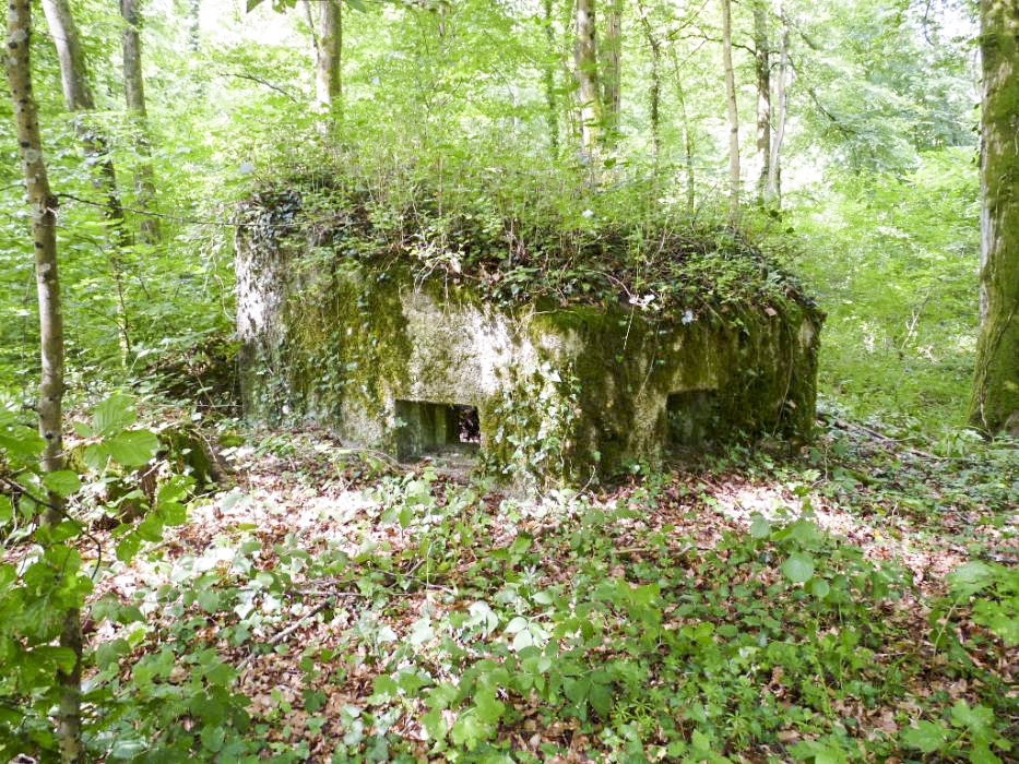 Ligne Maginot - MBA7 - (Blockhaus pour arme infanterie) -  - Sylvie Laure LAMBERT