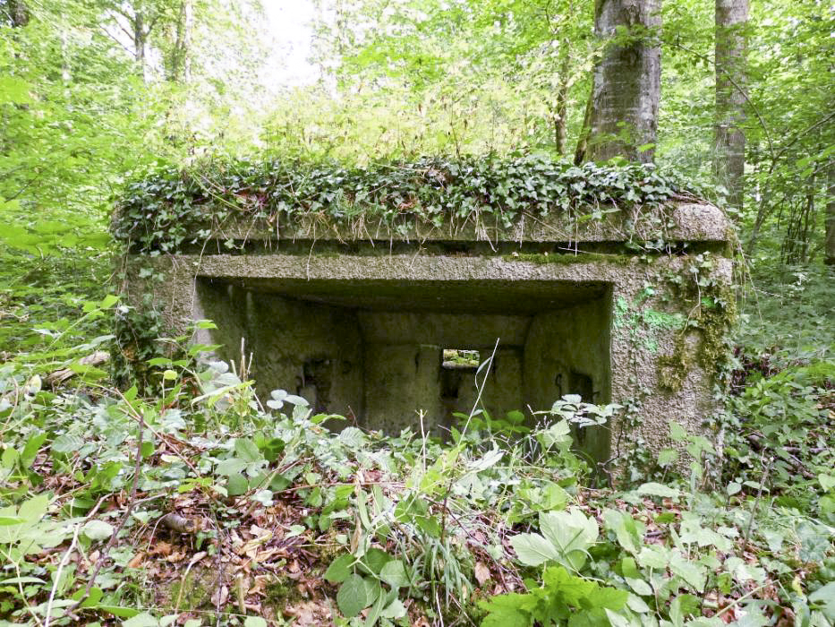 Ligne Maginot - MBA7 - (Blockhaus pour arme infanterie) - La face arrière - Sylvie Laure LAMBERT
