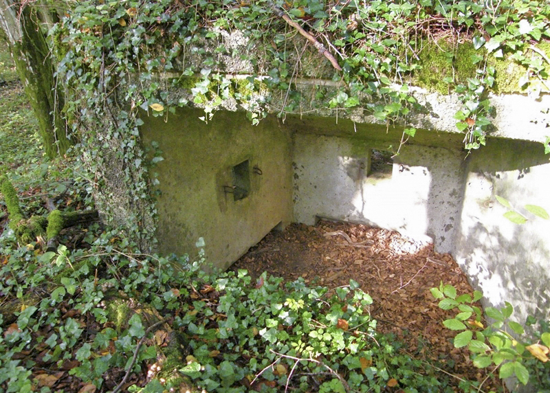 Ligne Maginot - MBA7 - (Blockhaus pour arme infanterie) -  - Jean-Louis AUBLET & Sylvie MAINGUIN