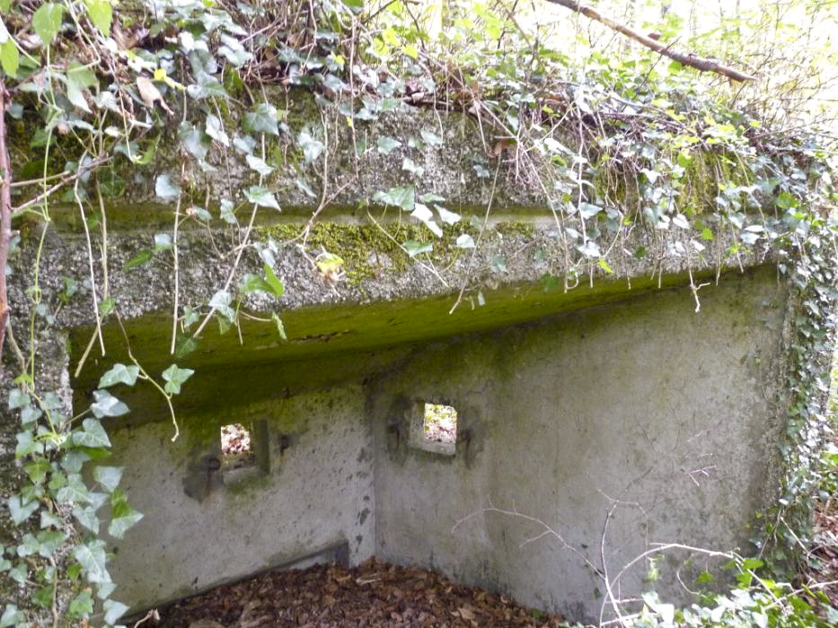 Ligne Maginot - MBA7 - (Blockhaus pour arme infanterie) -  - Sylvie Laure LAMBERT