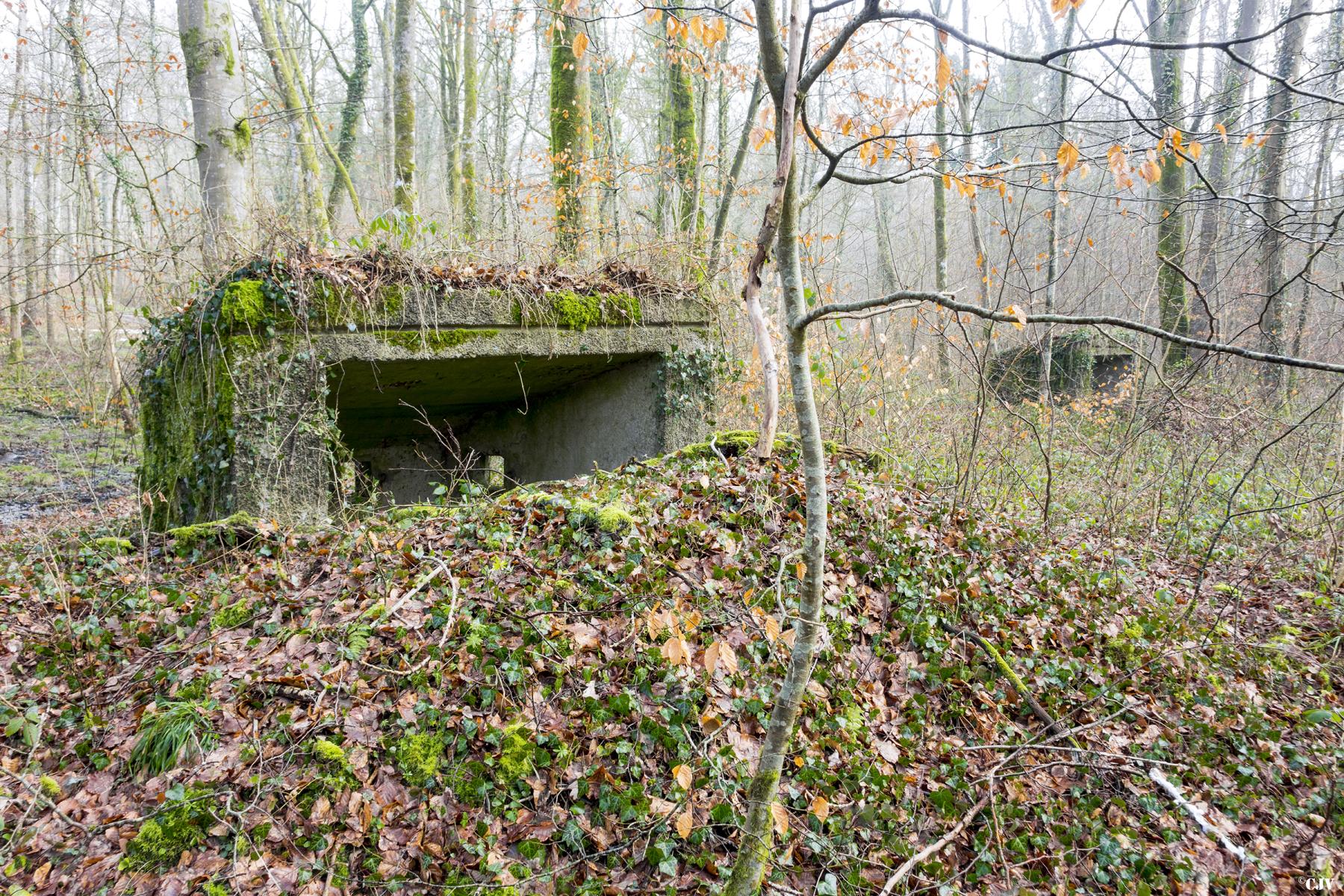 Ligne Maginot - MBA7 - (Blockhaus pour arme infanterie) - Les deux boucliers - Lia VERMEULEN