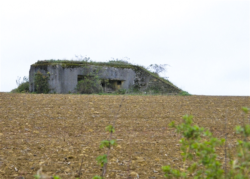 Ligne Maginot - MB31 - (Blockhaus pour canon) -  - Jean-Louis AUBLET & Sylvie MAINGUIN