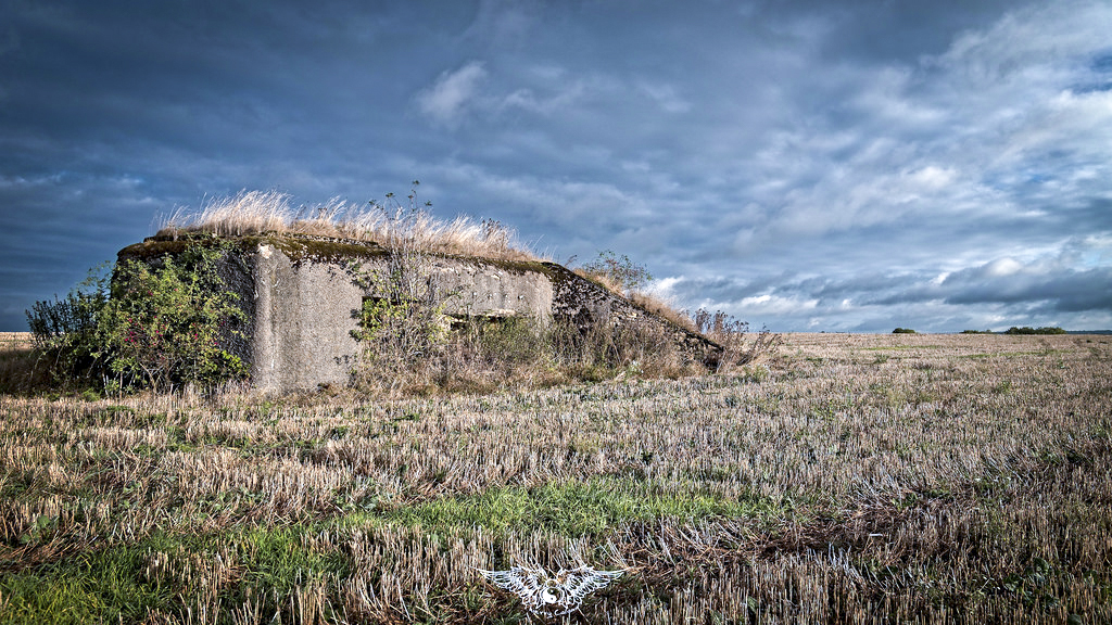 Ligne Maginot - MB31 - (Blockhaus pour canon) -  - Thierry Caland