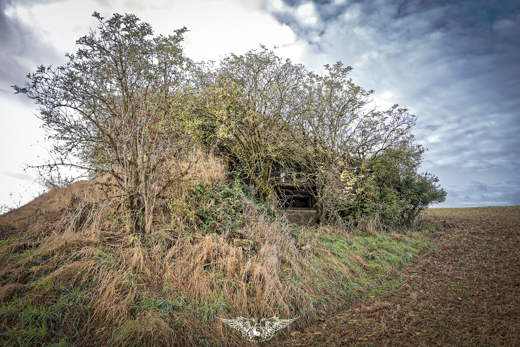 Ligne Maginot - MB32 - (Blockhaus pour canon) -  - Thierry Caland
