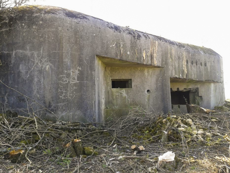 Ligne Maginot - MB41 - (Blockhaus lourd type STG / STG-FCR - Simple) - Situé en haut de la colline il domine la vallée. - Christian RICHON/devoitine520