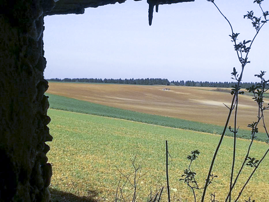 Ligne Maginot - MB41 - (Blockhaus lourd type STG / STG-FCR - Simple) - Depuis un des créneaux de tir on aperçoit le Mb26 - Christian RICHON/devoitine520