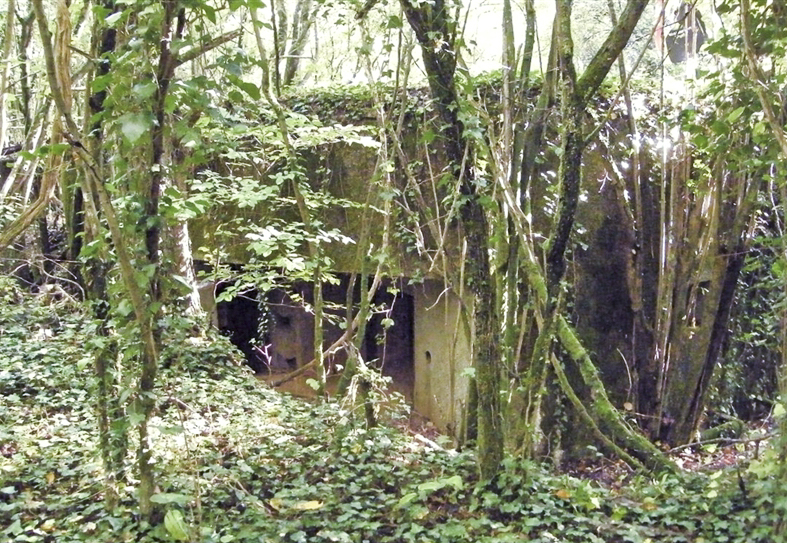 Ligne Maginot - MB53 - (Blockhaus lourd type STG / STG-FCR - Simple) -  - Jean-Louis AUBLET & Sylvie MAINGUIN