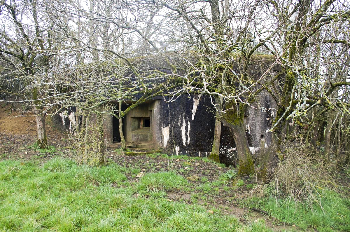 Ligne Maginot - MB161 - (Blockhaus pour canon) - Vue de la façade et de l'entrée - Christian RICHON/Devoitine520