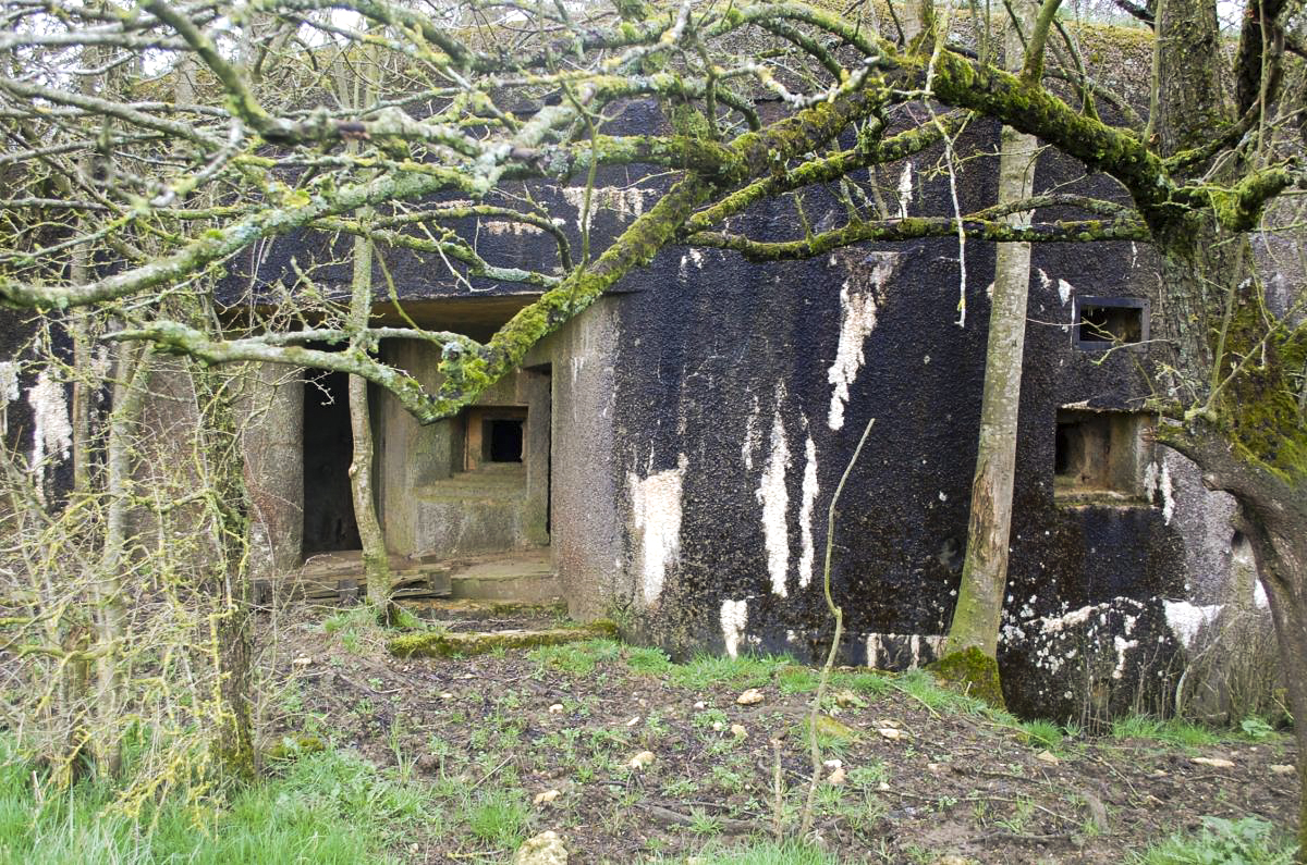 Ligne Maginot - MB161 - (Blockhaus pour canon) - Vue de la façade et de l'entrée - Christian RICHON/Devoitine520