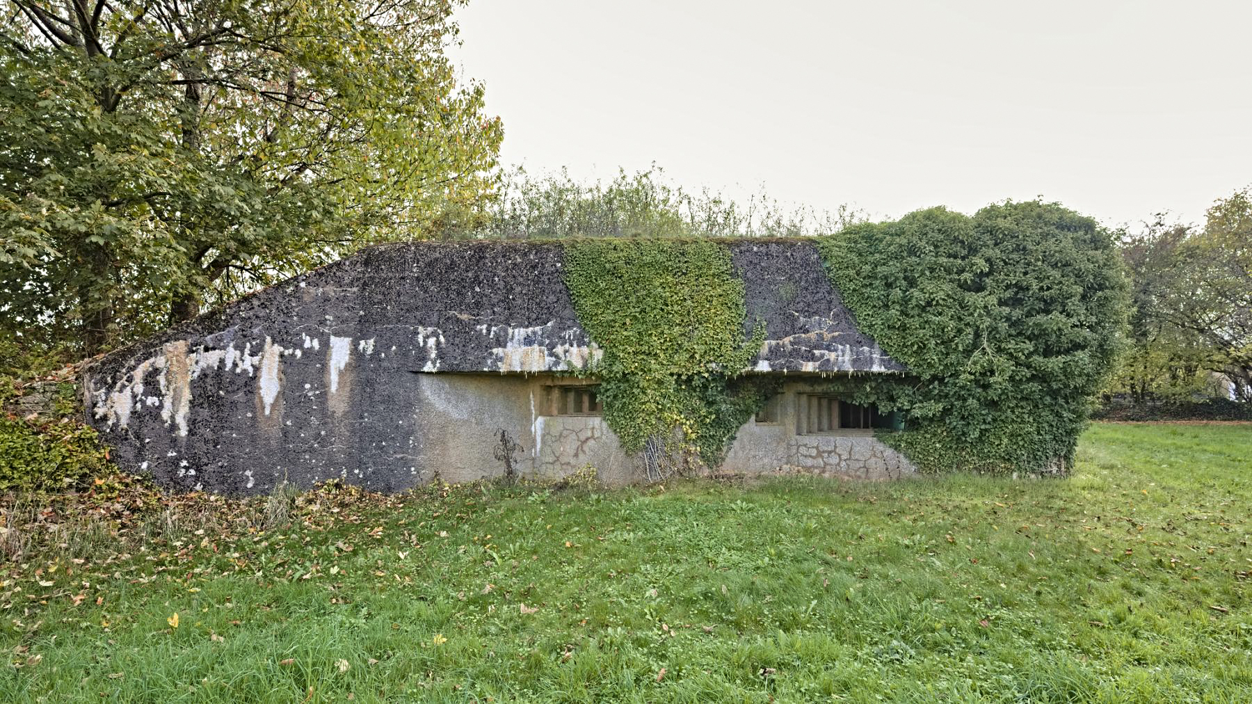 Ligne Maginot - MB292 - MM419 - (Blockhaus pour canon) -  - Thierry Caland