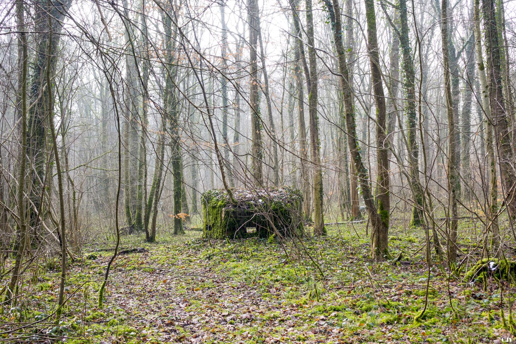 Ligne Maginot - MBA8 - (Blockhaus pour arme infanterie) -  - Lia VERMEULEN