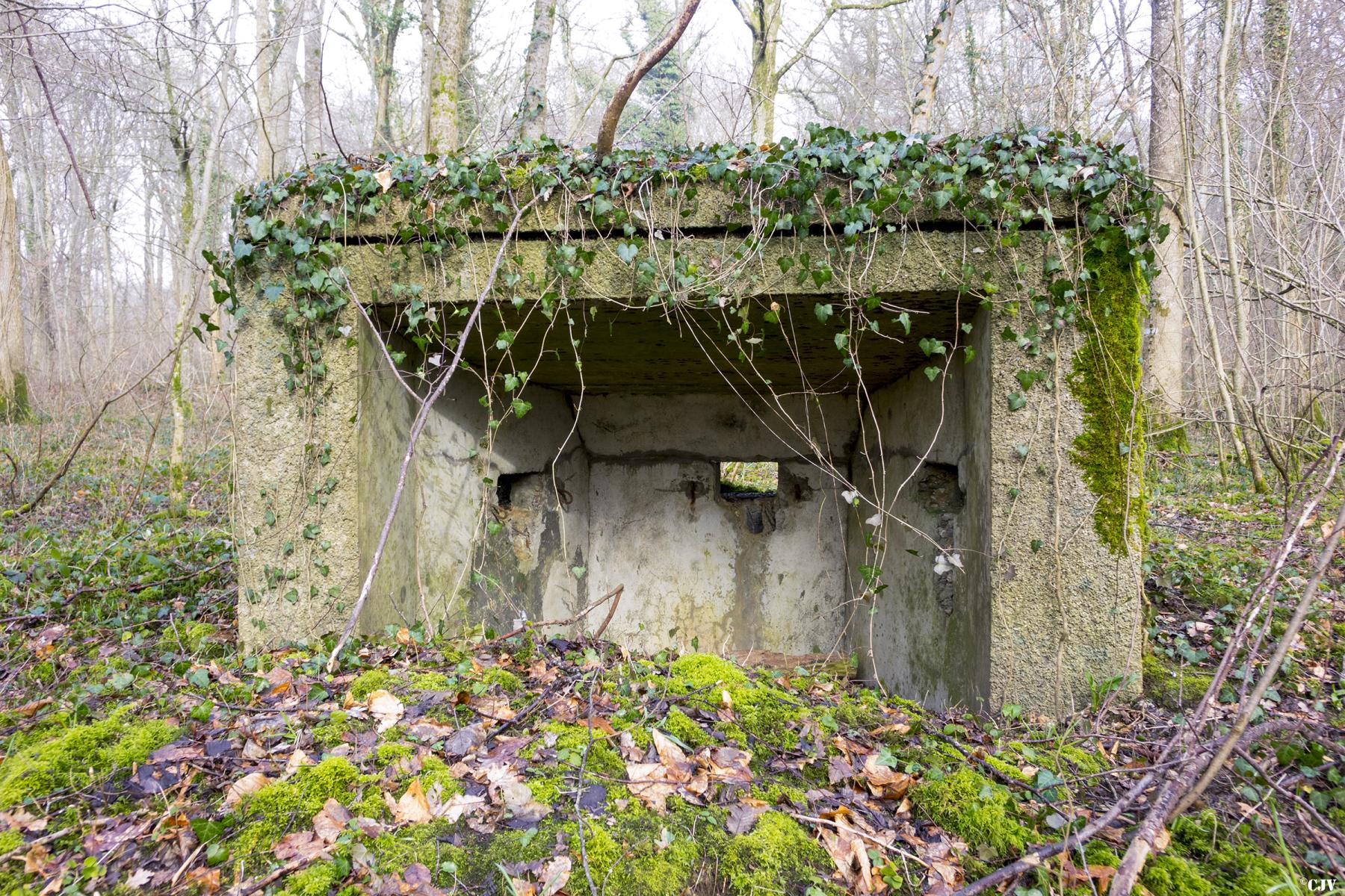 Ligne Maginot - MBA8 - (Blockhaus pour arme infanterie) -  - Lia VERMEULEN