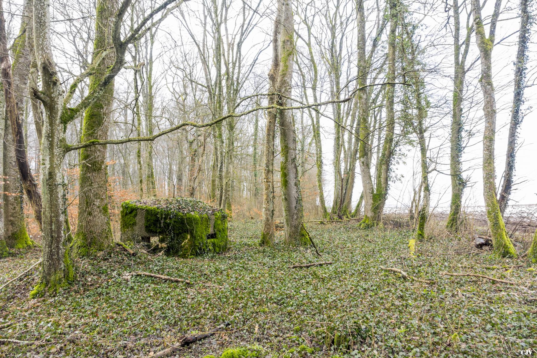 Ligne Maginot - MBA9 - (Blockhaus pour arme infanterie) -  - Lia VERMEULEN
