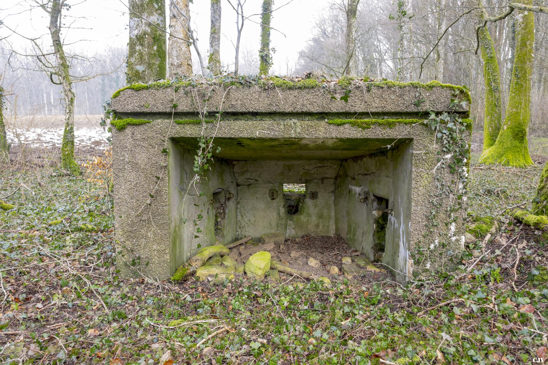 Ligne Maginot - MBA9 - (Blockhaus pour arme infanterie) -  - Lia VERMEULEN