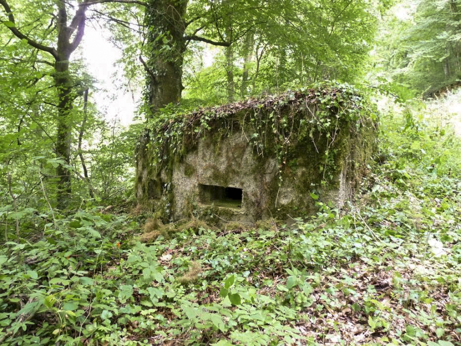 Ligne Maginot - MBA10 - (Blockhaus pour arme infanterie) -  - Sylvie Laure LAMBERT