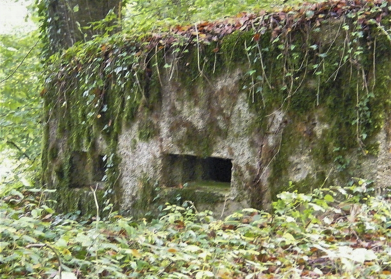 Ligne Maginot - MBA10 - (Blockhaus pour arme infanterie) -  - Jean-Louis AUBLET & Sylvie MAINGUIN