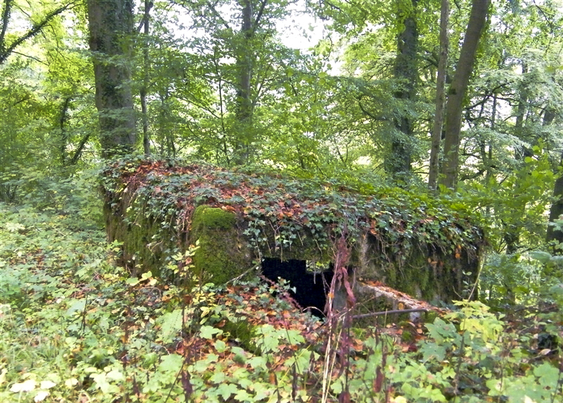 Ligne Maginot - MBA10 - (Blockhaus pour arme infanterie) - L'entrée - Jean-Louis AUBLET & Sylvie MAINGUIN