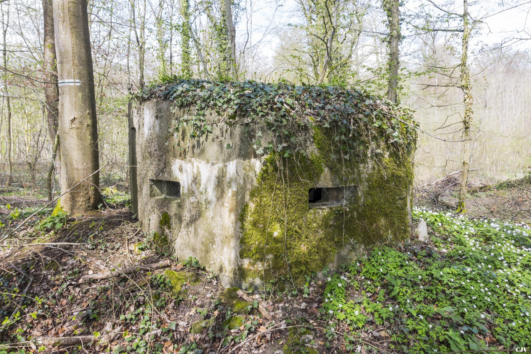 Ligne Maginot - MBA11 - (Blockhaus pour arme infanterie) -                     - Lia VERMEULEN
