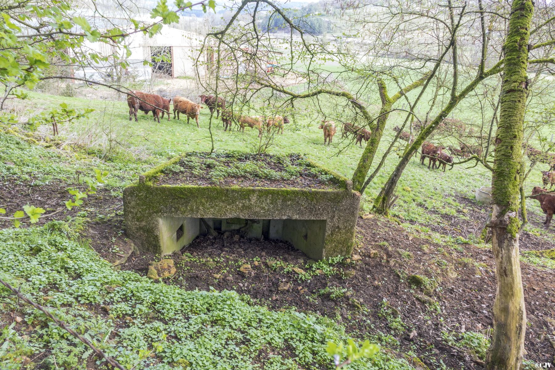 Ligne Maginot - MBO1 - (Blockhaus pour canon) -                        - Lia VERMEULEN