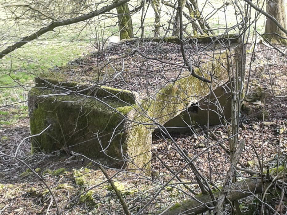 Ligne Maginot - MBO1 - (Blockhaus pour canon) - Situé en contrebas d'un chemin, il surveillait la route Villette - Colmey - Christian RICHON/devoitine520