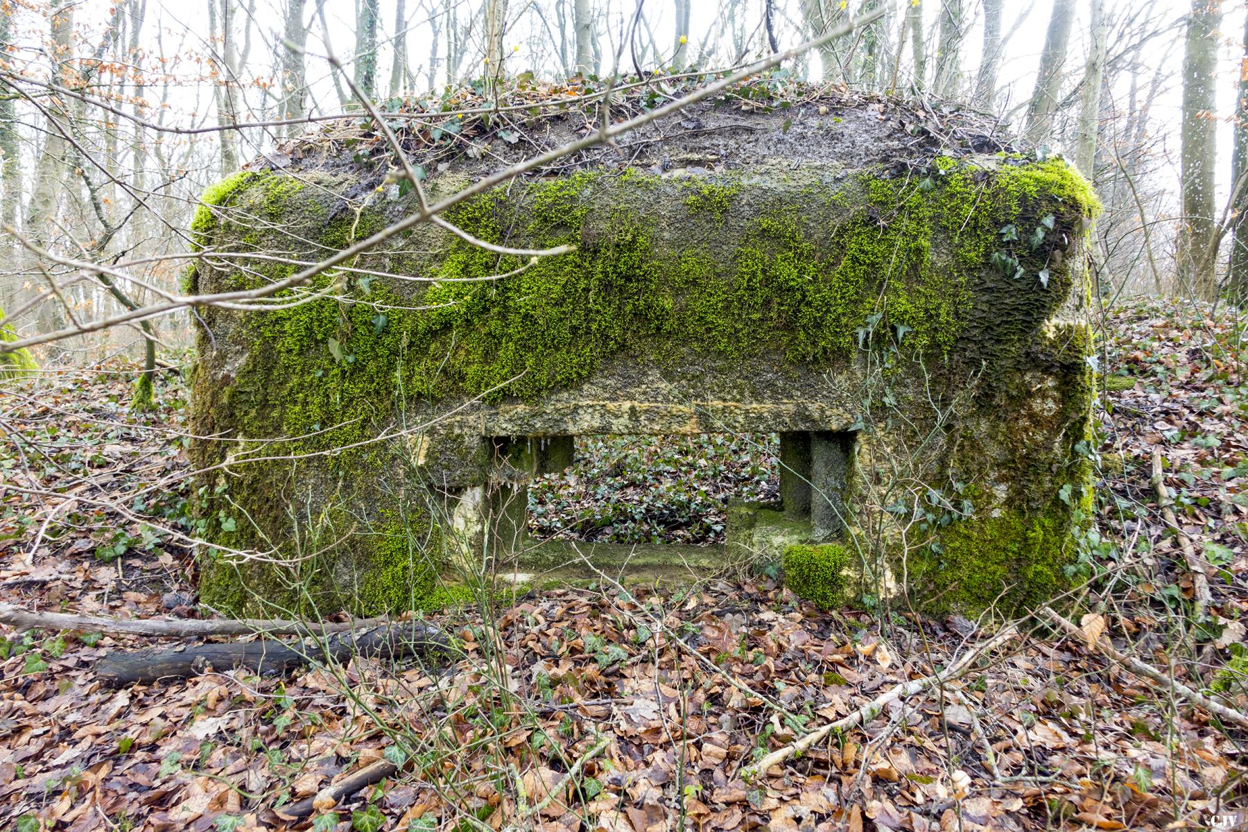 Ligne Maginot - MBO4 - MBAC4 - (Blockhaus pour canon) -  - Lia VERMEULEN