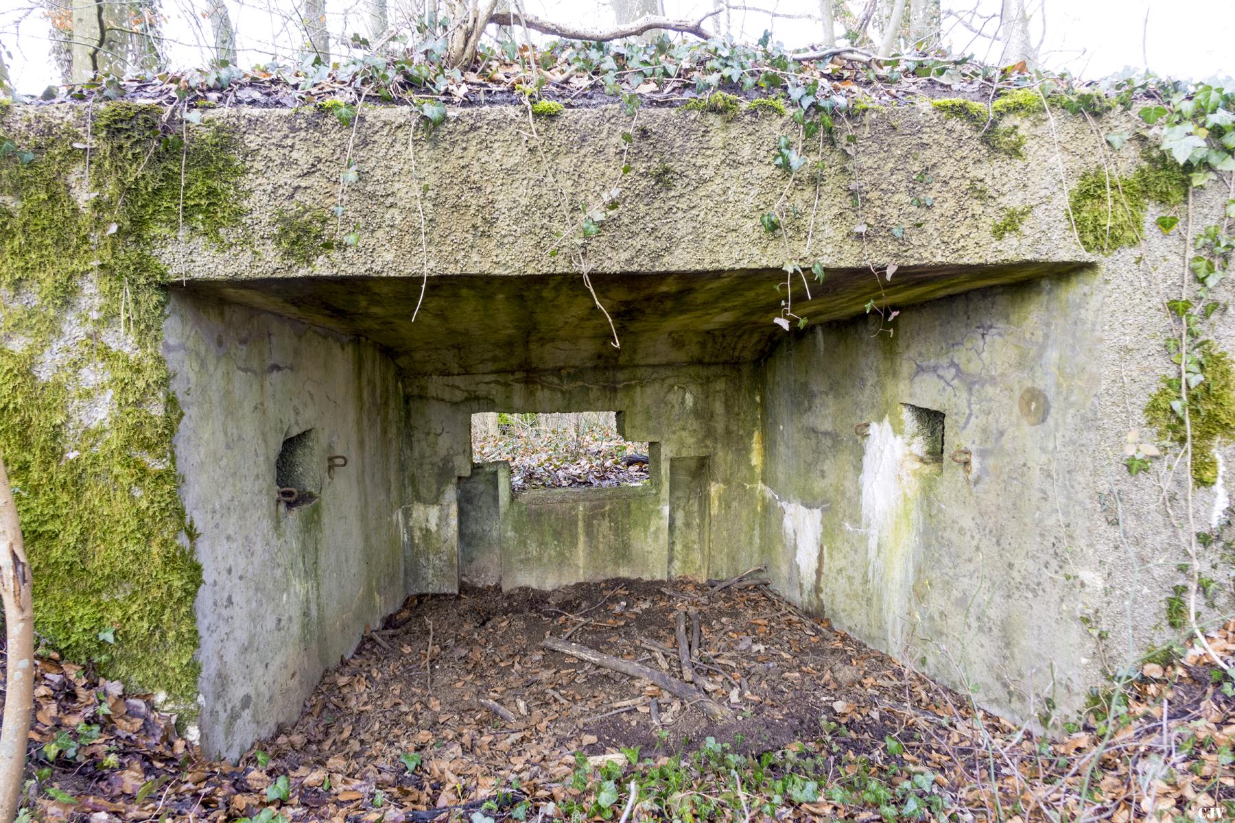 Ligne Maginot - MBO4 - MBAC4 - (Blockhaus pour canon) -  - Lia VERMEULEN