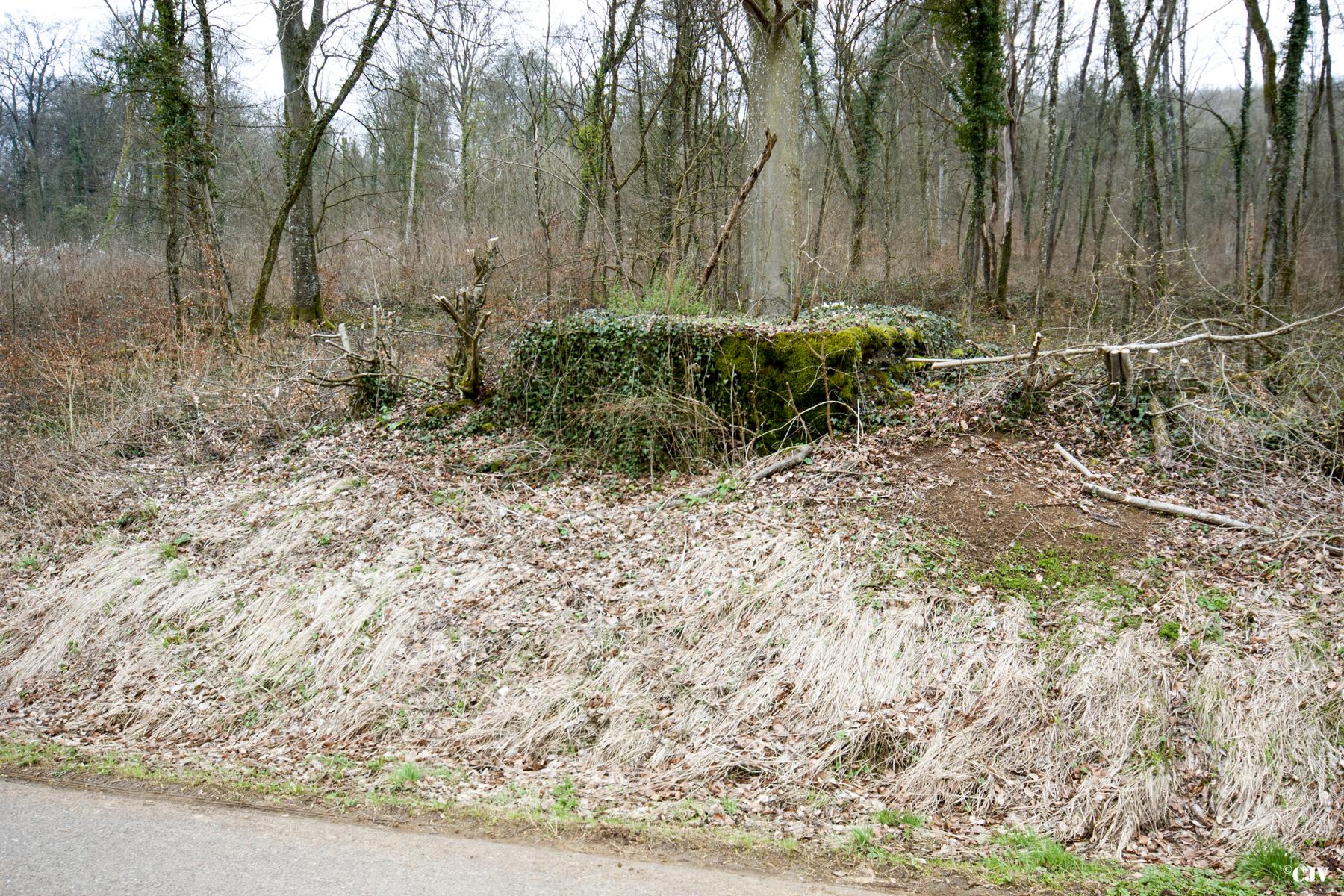Ligne Maginot - MBO5 - (Blockhaus pour canon) -  - Lia VERMEULEN