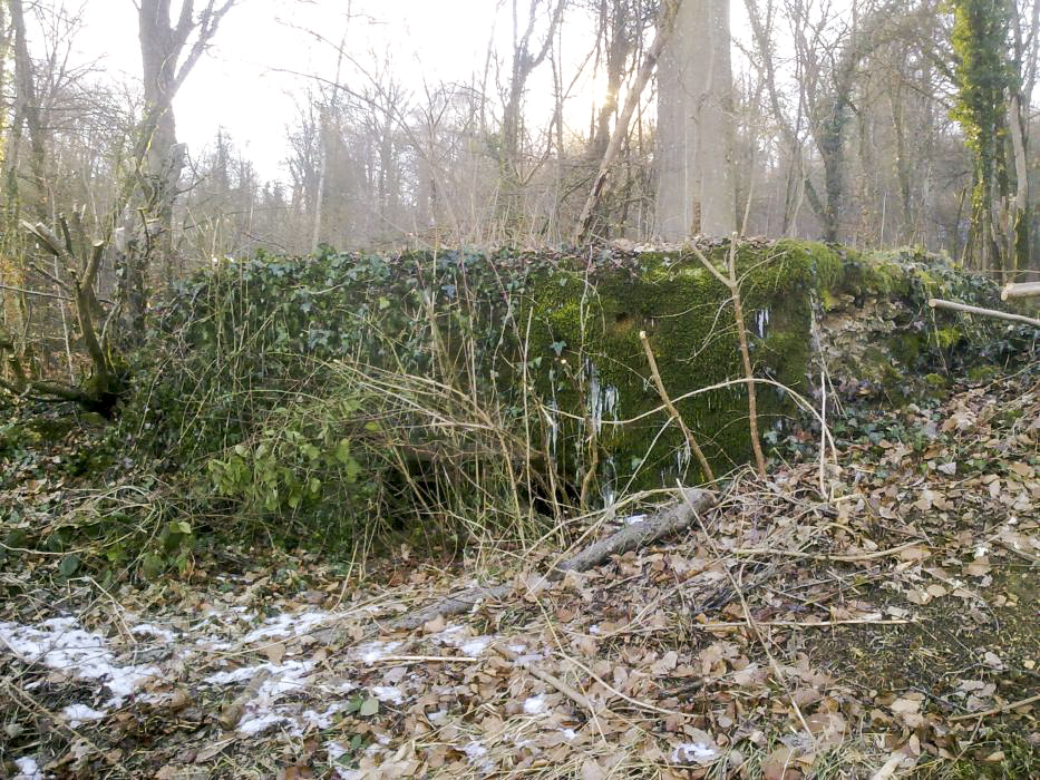 Ligne Maginot - MBO5 - (Blockhaus pour canon) -  - Devoitine520