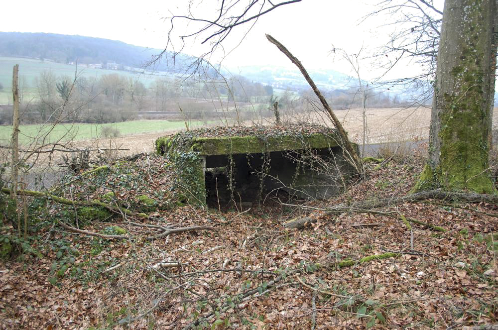 Ligne Maginot - MBO5 - (Blockhaus pour canon) - Son champ de tir, la voie ferrée Longuyon - Montmedy en contrebas  - Christian RICHON/devoitine520