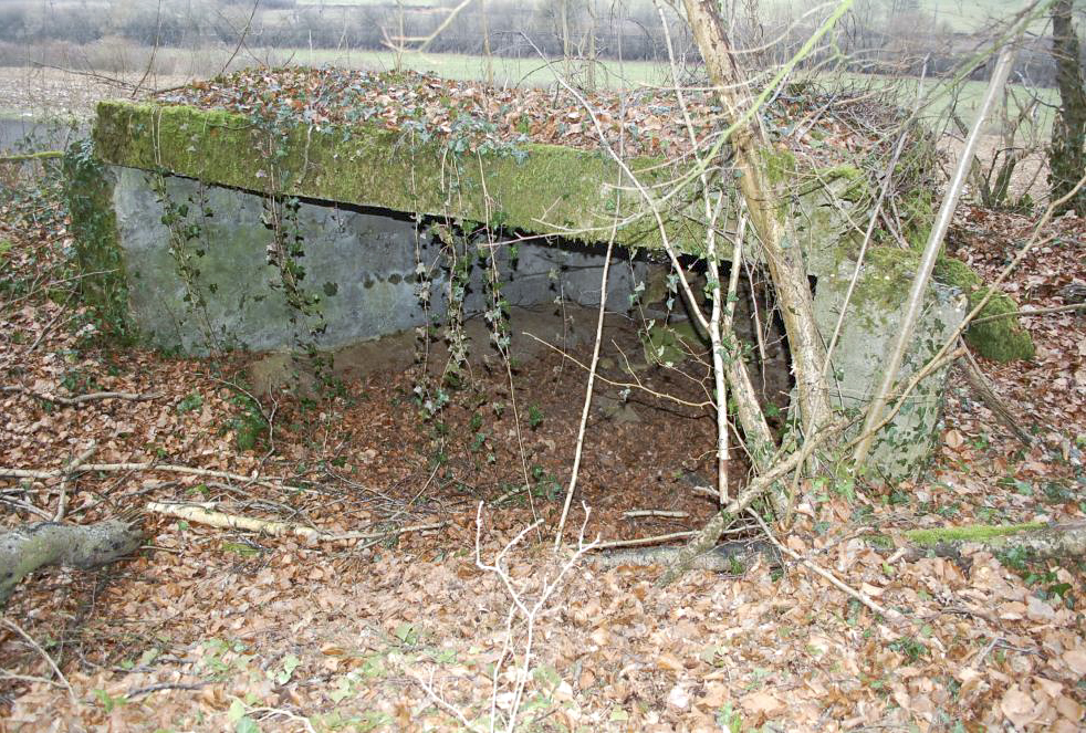 Ligne Maginot - MBO5 - (Blockhaus pour canon) - Une vue de derrière - Christian RICHON/devoitine520