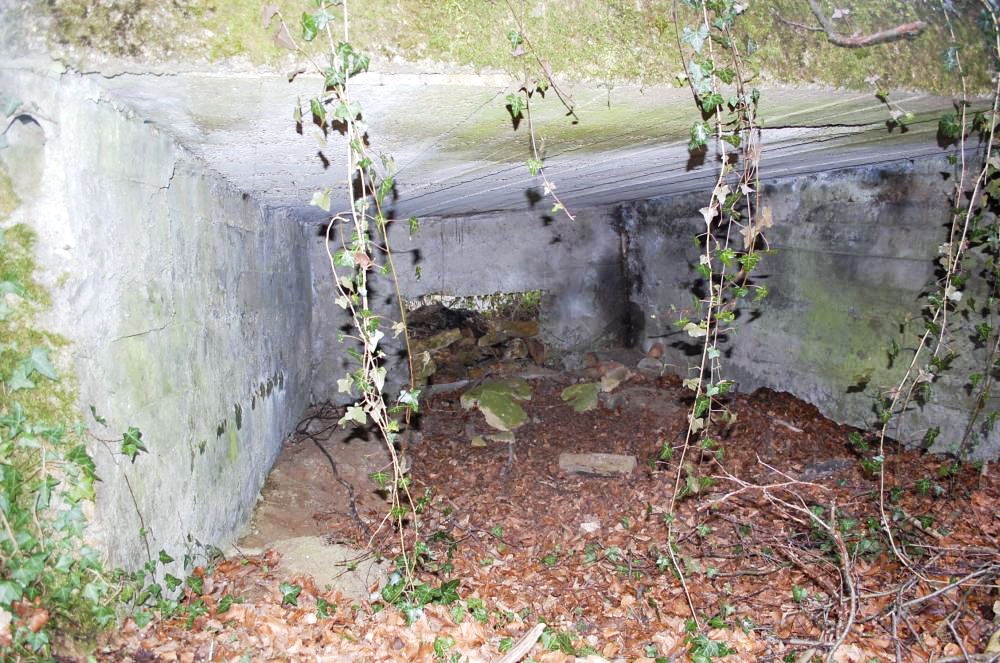 Ligne Maginot - MBO5 - (Blockhaus pour canon) - L'intérieur - Christian RICHON/devoitine520